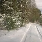 Vosges House 110 M2 In The Heart Of Nature L'oree Du Bois Saint-Michel-sur-Meurthe