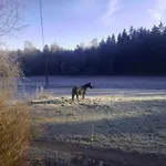 Vosges House 110 M2 In The Heart Of Nature L'oree Du Bois 度假居