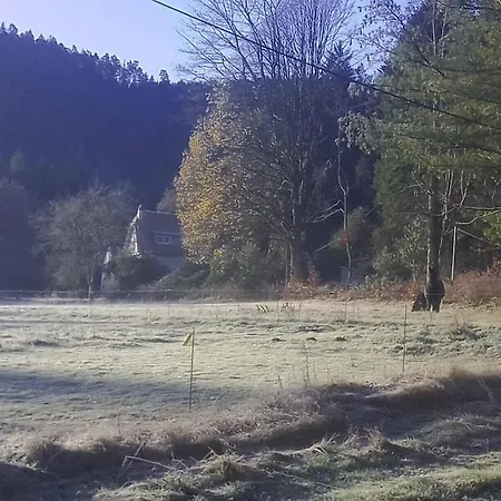 Holiday home Vosges House 110 M2 In The Heart Of Nature L'oree Du Bois Saint-Michel-sur-Meurthe