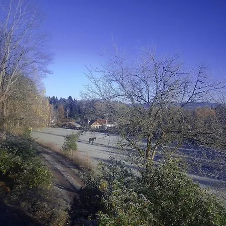 Semesterbostad Vosges House 110 M2 In The Heart Of Nature L'oree Du Bois Saint-Michel-sur-Meurthe