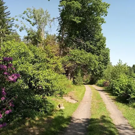 Vosges House 110 M2 In The Heart Of Nature L'orée Du Bois * Saint-Michel-sur-Meurthe