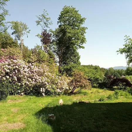 Vosges House 110 M2 In The Heart Of Nature L'orée Du Bois *