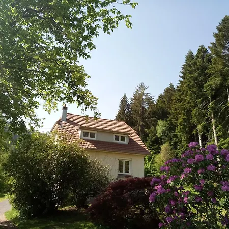Vosges House 110 M2 In The Heart Of Nature L'oree Du Bois *