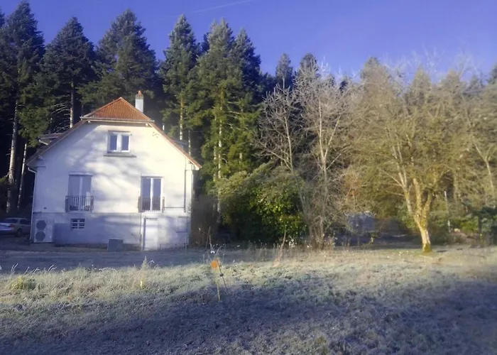 Vosges House 110 M2 In The Heart Of Nature L'oree Du Bois 度假居 *