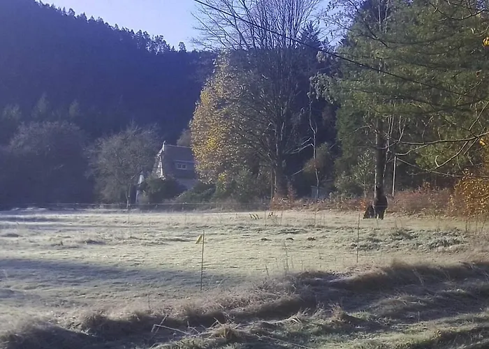 度假居 Vosges House 110 M2 In The Heart Of Nature L'oree Du Bois Saint-Michel-sur-Meurthe