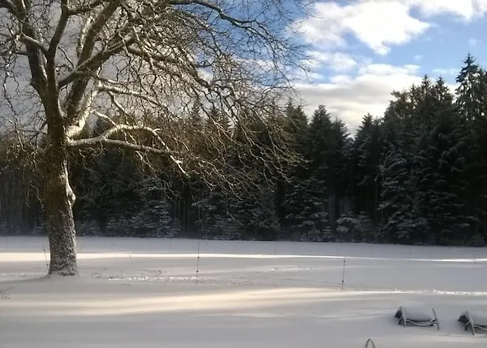 Vosges House 110 M2 In The Heart Of Nature L'oree Du Bois Saint-Michel-sur-Meurthe