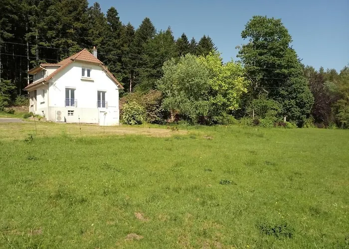 Vosges House 110 M2 In The Heart Of Nature L'oree Du Bois