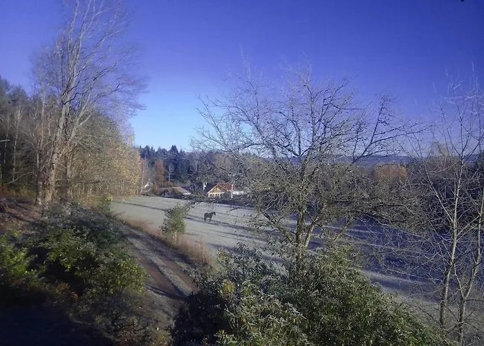 度假居 Vosges House 110 M2 In The Heart Of Nature L'oree Du Bois Saint-Michel-sur-Meurthe