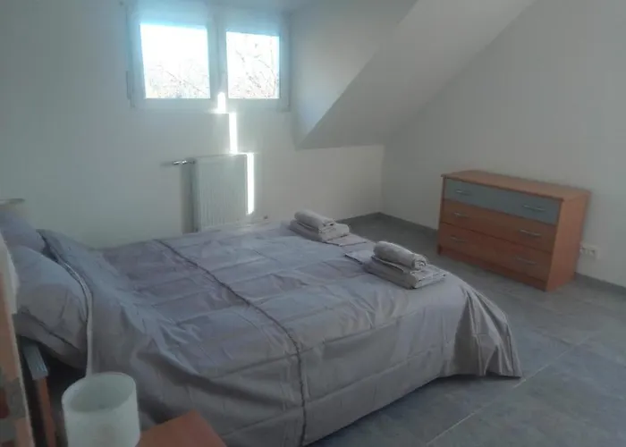 Vosges House 110 M2 In The Heart Of Nature L'oree Du Bois