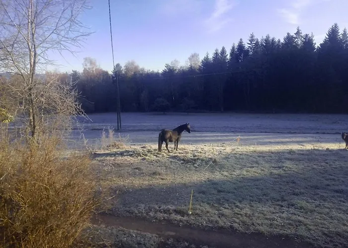 Vosges House 110 M2 In The Heart Of Nature L'oree Du Bois 度假居