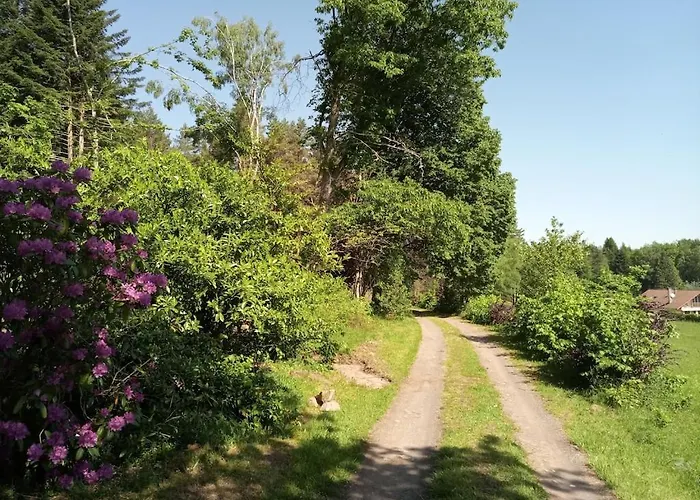 Vosges House 110 M2 In The Heart Of Nature L'oree Du Bois * Saint-Michel-sur-Meurthe