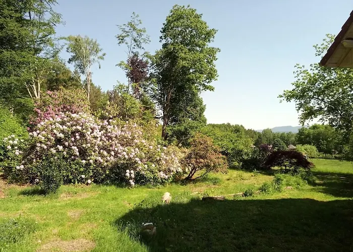 Vosges House 110 M2 In The Heart Of Nature L'oree Du Bois *